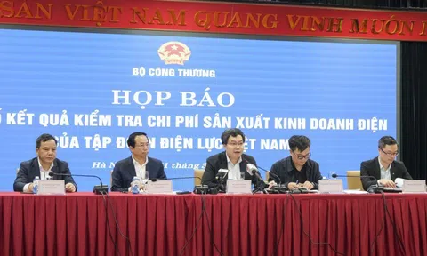Tập đoàn điện lực Việt Nam từng dính nhiều sai phạm, nhận “án” thanh tra