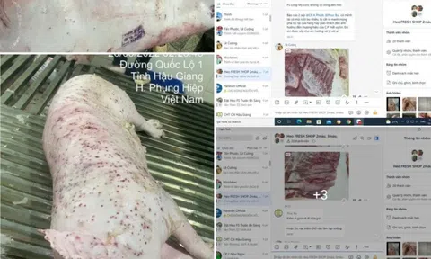 Thông tin trên MXH tố C.P Việt Nam bán heo bệnh ra thị trường: Người đứng đơn tố cáo nói gì?