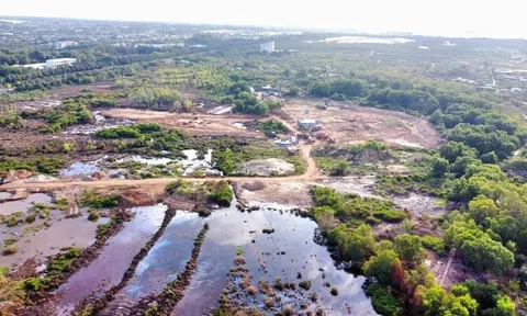 "Ông lớn" đứng sau khu đất 60 ha vừa trúng đấu giá tại Bà Rịa - Vũng Tàu là ai?