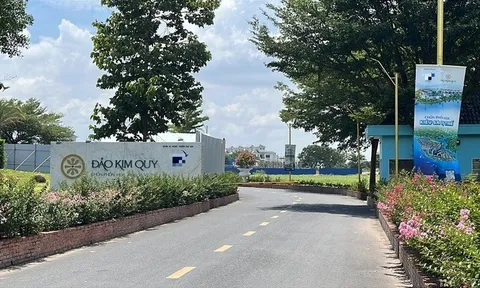 Sai phạm tại dự án cù lao Tân Vạn: Chuyển hồ sơ sang công an nếu phát hiện dấu hiệu phạm tội