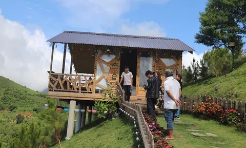 Vụ Ngọc Trinh khoe mua đất ở Bảo Lộc: Buộc chủ đất tháo dỡ nhà trái phép