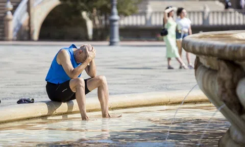 Châu Âu ghi nhận hơn 20.000 ca tử vong vì nắng nóng
