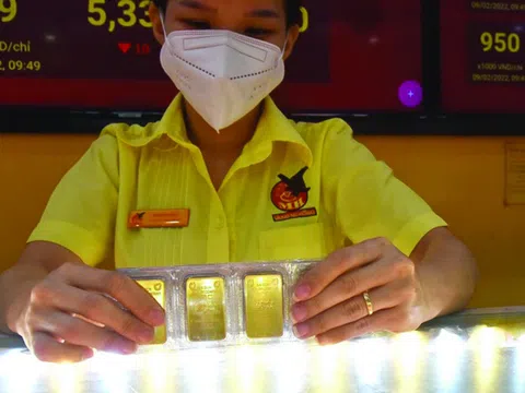 Đầu tư vào đâu trong cơn "bão giá"?