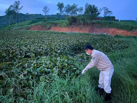 Sơn La: Thanh tra đột xuất việc xả thải của Mộc Châu Milk gây ô nhiễm môi trường