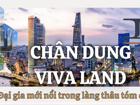 Chân dung Viva Land: đại gia mới nổi trong làng thâu tóm đất vàng