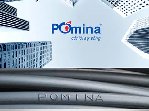 Thép Pomina lỗ và nợ ngắn hạn vượt quá tài sản ngắn hạn