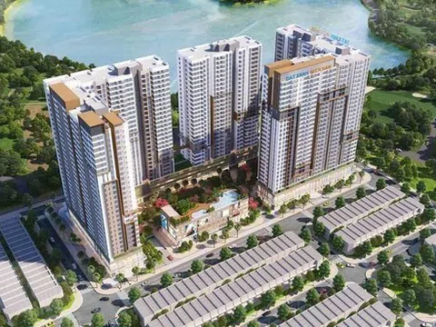 LDG chuẩn bị chia cổ tức 2019 cho cổ đông