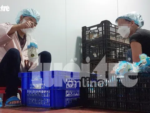 Phanh phui rau VietGAP dỏm: Hàng Trung Quốc 'VietGAP' vào Bách Hóa Xanh