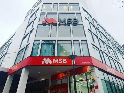 MSB: Nợ nhóm 5 chiếm quá nửa nợ xấu, cho vay bất động sản gần 11.000 tỷ