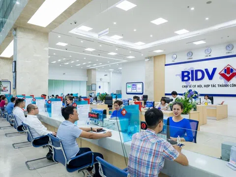 BIDV sắp rao bán khoản nợ 111 tỷ với thế chấp là 4.000 m2 đất và 400.000 cổ phiếu DL1?