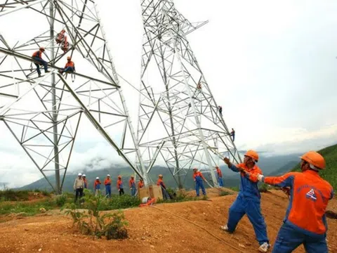 Thoái vốn khỏi SJE, loạt lãnh đạo Sông Đà 11 đồng loạt từ nhiệm