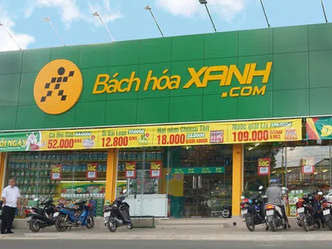 MWG và “ván cược” mạo hiểm 7 năm ở Bách hóa xanh