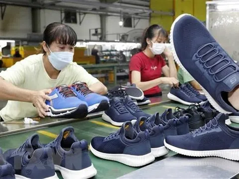 Tận dụng lợi thế từ EVFTA để xuất khẩu sang thị trường ngách