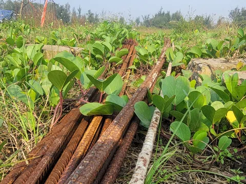 Dự án hơn 200 tỷ ven biển Hà Tĩnh nhiều năm 'đắp chiếu' vì vướng mặt bằng