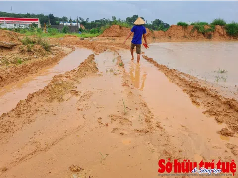 Mặc cơ quan chức năng cảnh báo, dự án Sài Gòn Center lại đổi tên thương hiệu để bán hàng