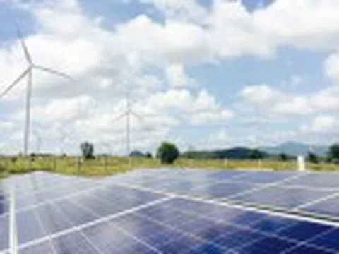 'Lướt sóng' loạt dự án nghìn tỷ, tiềm lực Nam Việt Green Energy ra sao?