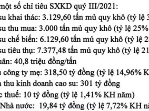 Cao su Phước Hoà (PHR): Hụt tiền đền bù đất, lợi nhuận quý III/2021 giảm 54% về 64 tỷ đồng