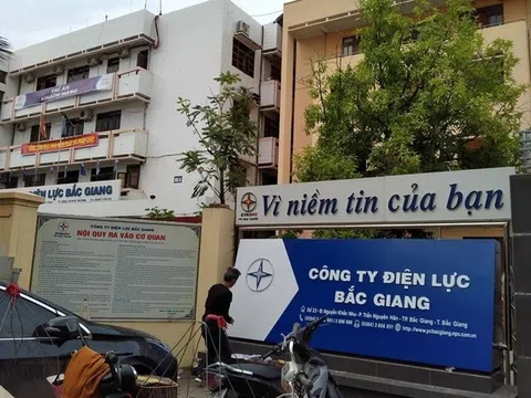 Công ty Điện lực Bắc Giang: 'Núp bóng' xuất xứ hàng hóa để hạn chế nhà thầu?