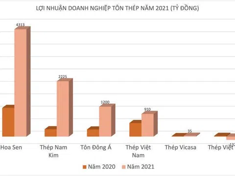 Buôn sắt thép thắng lớn nhưng DN này lại vẫn lỗ đậm, giải thể, dính đại án