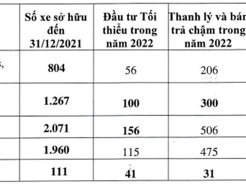 Lỗ 2 năm liên tiếp, cổ phiếu VNS vào diện kiểm soát