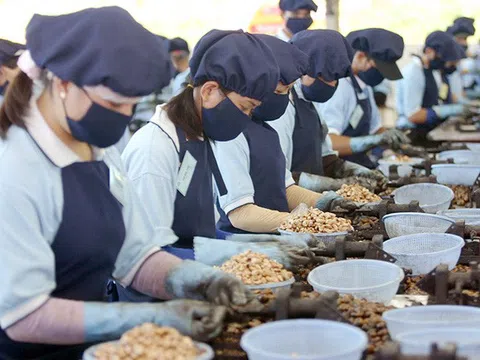 Kinh tế Việt Nam đang trở lại quỹ đạo tăng trưởng nhanh