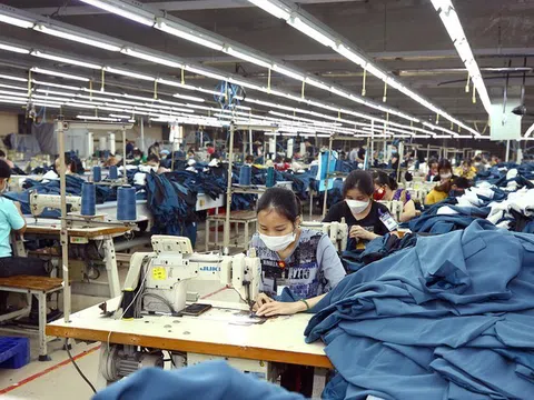 Sản xuất công nghiệp lan rộng gam màu sáng