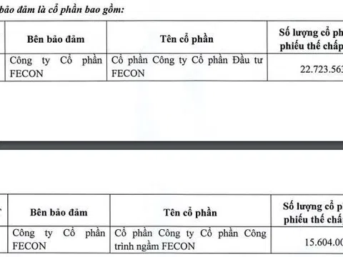 Kinh doanh thua lỗ, Fecon chọn cách huy động vốn qua kênh trái phiếu