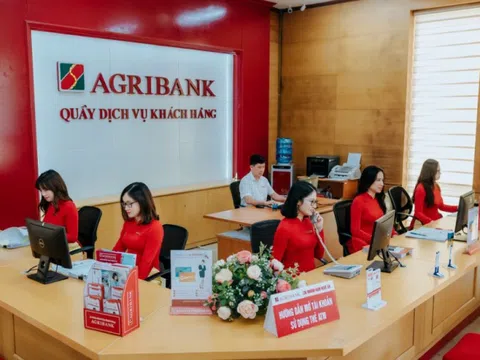 Sau 15 năm, Agribank vẫn chưa thể cổ phần hoá