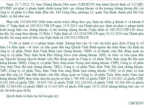 Lãnh đạo REE nói gì sau khi bị xử phạt 110 triệu đồng do giao dịch "chui" 265 triệu cổ phiếu?