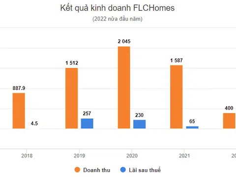 Một doanh nghiệp khác thuộc họ FLC tiếp tục báo lỗ quý II sau FLC Stones