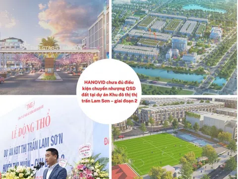 Thanh Hoá: HANOVID chưa đủ điều kiện chuyển nhượng QSD đất tại dự án KĐT thị trấn Lam Sơn – giai đoạn 2