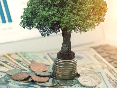 Lịch chốt quyền trả cổ tức bằng tiền các doanh nghiệp tuần từ 8 - 14/8