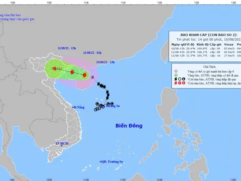 Hàng nghìn người được huy động tham gia phòng chống bão số 2