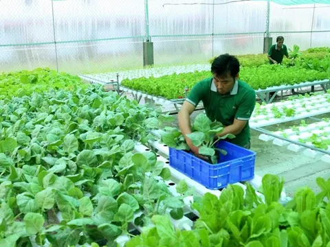 Sắp có thêm chính sách ưu đãi, phát triển kinh tế trang trại
