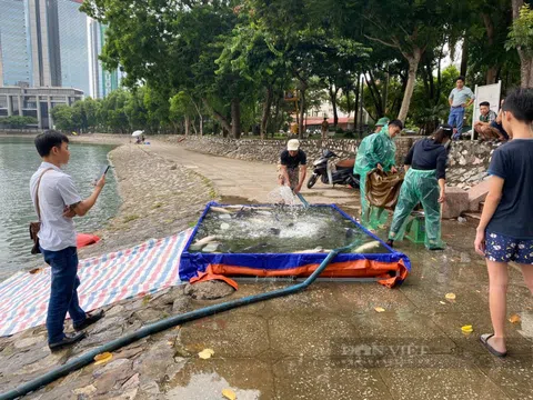 Vụ câu cá có thưởng trái phép ở hồ công ích: Dừng tổ chức câu cá trúng thưởng ở hồ Thành Công