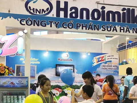 Hanoimilk nợ 49 tháng BHXH với số tiền gần 18 tỷ đồng