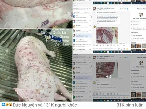 Thông tin trên MXH tố C.P Việt Nam bán heo bệnh ra thị trường: Người đứng đơn tố cáo nói gì?