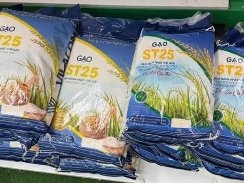 "Cuộc chiến" gạo ST25 tại Úc: Sở hữu trí tuệ, nguồn gốc và dấu hỏi về đạo đức kinh doanh