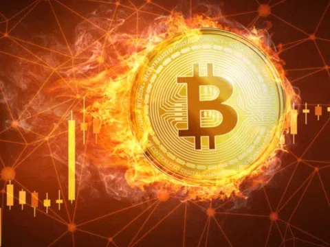 Thị trường tiền số bốc hơi 260 tỷ USD chỉ trong 1 ngày, giá Bitcoin thủng mốc 50.000 USD