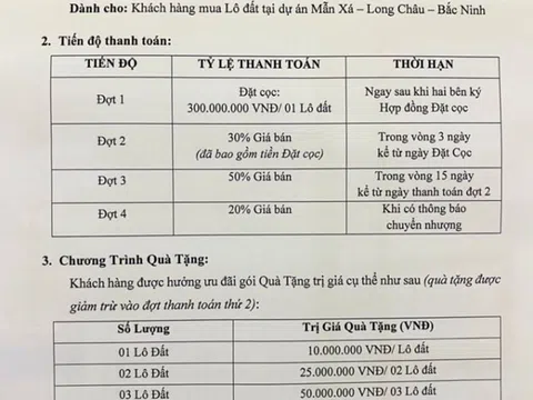 Bắc Ninh: Chủ đầu tư Dự án khu nhà ở thôn Mẫn Xá lách luật, bán lúa non ra thị trường?