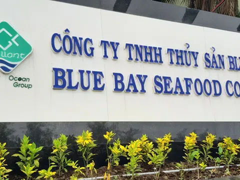 Xả thải gây ô nhiễm, Công ty Blue Bay bị xử phạt hơn 600 triệu đồng