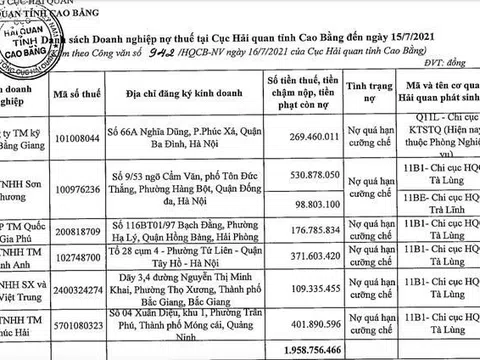 Công ty TNHH Sơn Phương nợ tiền thuế gần 630 triệu đồng