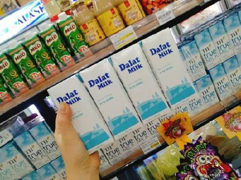 Ông chủ của Dalatmilk vừa bị phạt hơn 300 triệu đồng vì vi phạm môi trường là ai?