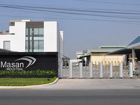 Masan Group (MSN): Điểm mạnh và bất lợi trong bức tranh tài chính