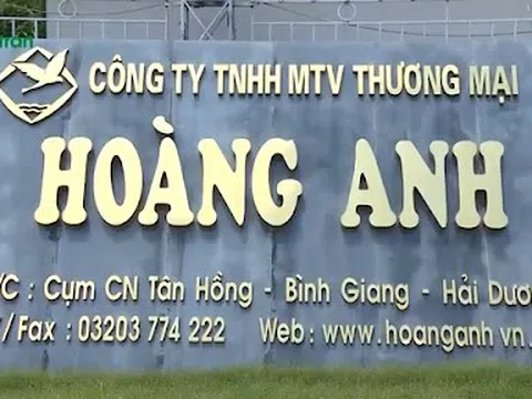 Cty Hoàng Anh Hải Dương vướng nhiều sai phạm: Tỉnh ra tay 'điểm huyệt'