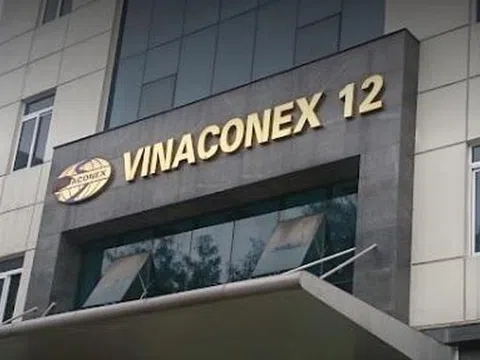 Vinaconex 12 bị xử phạt gần 400 triệu đồng vì vi phạm hành chính về thuế