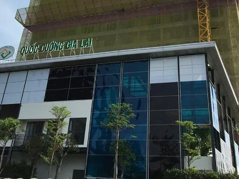 Vụ 'thâu tóm' gần 32.000m2 đất công: Bà chủ Quốc Cường Gia Lai khai gì?