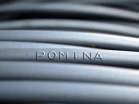 Pomina báo lãi 'hụt' sau soát xét, nợ ngắn hạn vượt tài sản ngắn hạn hơn 350 tỷ