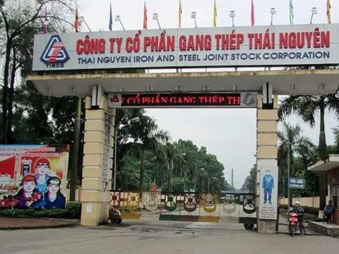 'Khai tử' dự án siêu thị của Công ty gang thép Thái Nguyên và dự án nhà ở xã hội của Tập đoàn Tiến Bộ