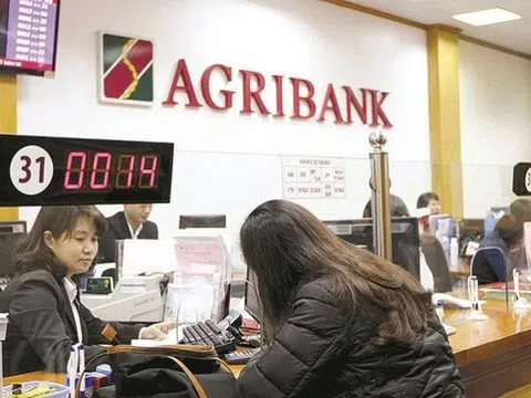 Agribank đấu giá khoản nợ hơn 145 tỷ đồng của Công ty Ngôi Sao Việt